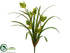 Silk Plants Direct Mini Cymbidium Orchid Plant - Green - Pack of 12