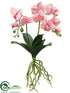 Silk Plants Direct Phalaenopsis Orchid Plant - Peach Cream - Pack of 6
