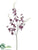 Oncidium Orchid Spray - Violet - Pack of 12