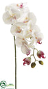 Silk Plants Direct Phalaenopsis Orchid Spray - Cream Rubrum - Pack of 6
