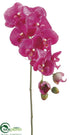 Silk Plants Direct Phalaenopsis Orchid Spray - Violet - Pack of 6