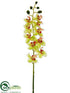 Silk Plants Direct Mini Phalaenopsis Orchid Spray - Green Mauve - Pack of 12