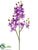 Mini Phalaenopsis Orchid Spray - Orchid Lilac - Pack of 6