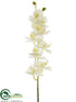 Silk Plants Direct Phalaenopsis Orchid Spray - Cream Green - Pack of 12