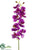 Phalaenopsis Orchid Spray - Orchid - Pack of 12