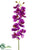 Phalaenopsis Orchid Spray - Orchid - Pack of 12