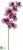 Phalaenopsis Orchid Spray - Lavender Orchid - Pack of 12