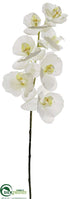 Silk Plants Direct Phalaenopsis Orchid Spray - White - Pack of 12