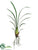 Cymbidium Orchid Leaf Plant - Green - Pack of 12