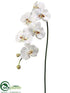 Silk Plants Direct Phalaenopsis Orchid Spray - White - Pack of 4