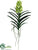 Vanda Orchid Plant - Green - Pack of 4