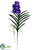 Vanda Orchid Plant - Purple Lavender - Pack of 4