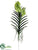 Vanda Orchid Plant - Green - Pack of 2