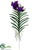 Vanda Orchid Plant - Violet - Pack of 2