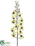 Silk Plants Direct Dendrobium Orchid Spray - Green Burgundy - Pack of 12