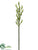 Cymbidium Bud Spray - Green - Pack of 6