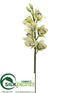 Silk Plants Direct Cymbidium Orchid Spray - Green - Pack of 6