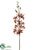 Cymbidium Orchid Spray - Cinnamon Rust - Pack of 12