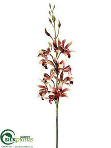 Cymbidium Orchid Spray - Cinnamon Rust - Pack of 12