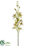 Silk Plants Direct Cymbidium Orchid Spray - Green Burgundy - Pack of 12