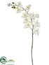 Silk Plants Direct Phalaenopsis Orchid Spray - Cream Green - Pack of 6