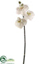 Silk Plants Direct Phalaenopsis Orchid Spray - White Green - Pack of 12