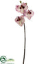 Silk Plants Direct Phalaenopsis Orchid Spray - White Orchid - Pack of 12