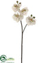 Silk Plants Direct Phalaenopsis Orchid Spray - White Green - Pack of 6