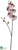 Phalaenopsis Orchid Spray - White Orchid - Pack of 6