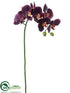 Silk Plants Direct Phalaenopsis Orchid Spray - Eggplant - Pack of 12