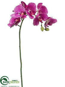 Phalaenopsis Orchid Spray - Orchid - Pack of 12