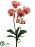 Silk Plants Direct Phalaenopsis Orchid Plant - Red Dark - Pack of 12
