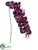 Phalaenopsis Orchid Spray - Eggplant - Pack of 6