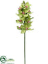 Silk Plants Direct Cymbidium Orchid Spray - Lime - Pack of 6