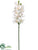 Silk Plants Direct Cymbidium Orchid Spray - White - Pack of 6