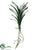 Vanda Orchid Leaf Spray - Green - Pack of 12