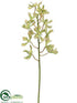 Silk Plants Direct Mokara Vanda Orchid Spray - Green Burgundy - Pack of 6