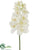 Vanda Orchid Spray - Cream - Pack of 8