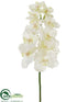 Silk Plants Direct Vanda Orchid Spray - Cream - Pack of 8