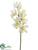 Cymbidium Orchid Spray - White - Pack of 6