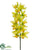 Cymbidium Orchid Spray - Green Yellow - Pack of 4