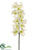 Cymbidium Orchid Spray - White - Pack of 4