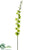 Grammatophyllum Orchid Spray - Lime - Pack of 4