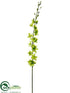 Silk Plants Direct Grammatophyllum Orchid Spray - Lime - Pack of 4