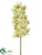 Cymbidium Orchid Spray - Green - Pack of 6