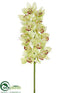 Silk Plants Direct Cymbidium Orchid Spray - Green - Pack of 6