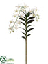 Silk Plants Direct Dendrobium Orchid Plant - Cream - Pack of 6