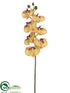 Silk Plants Direct Phalaenopsis Orchid Spray - Green Burgundy - Pack of 4