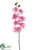 Phalaenopsis Orchid Spray - Lavender - Pack of 4