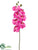 Phalaenopsis Orchid Spray - Orchid - Pack of 4